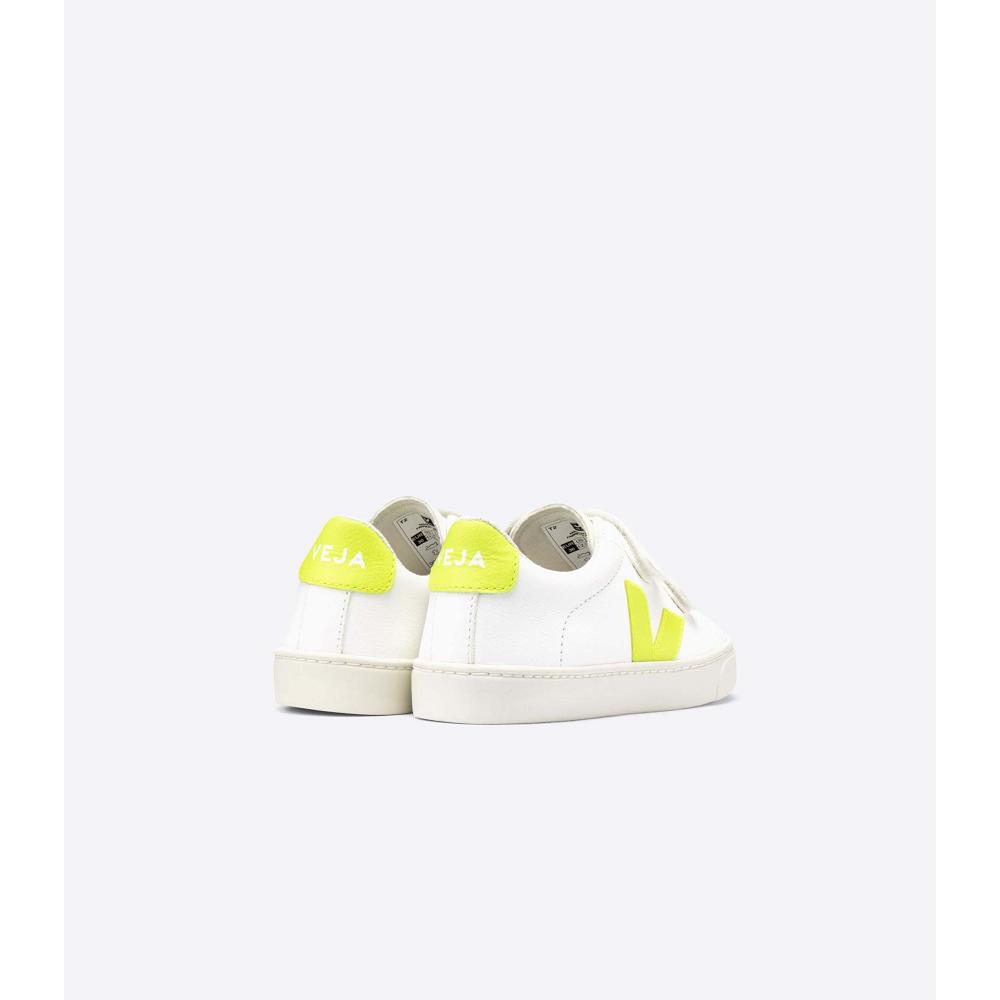 Veja ESPLAR CHROMEFREE Kids' Shoes White/Green | NZ 726GSO